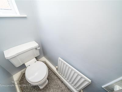 Picture 13